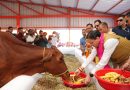 मुंमं धामी ने खटीमा में 7 करोड़ की गौशाला का किया उद्घाटन, एक अरब के शिलान्यास